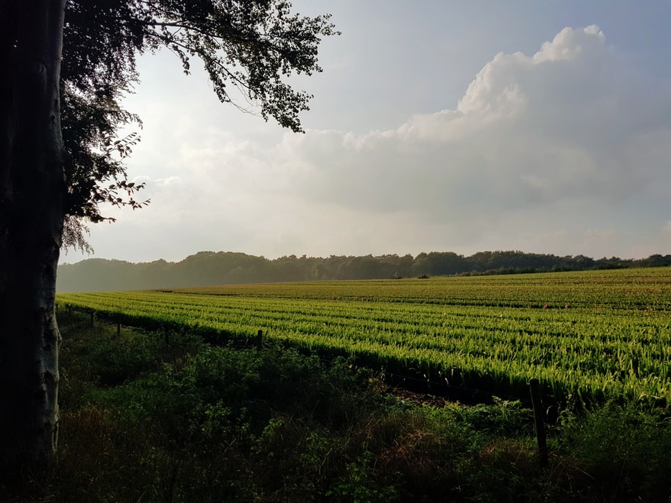 natuur en ecologie